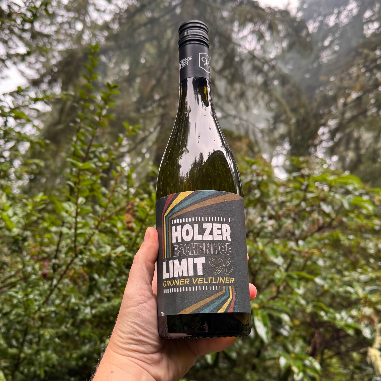 Eschenhof Holzer Limit, Grüner Veltliner 2024