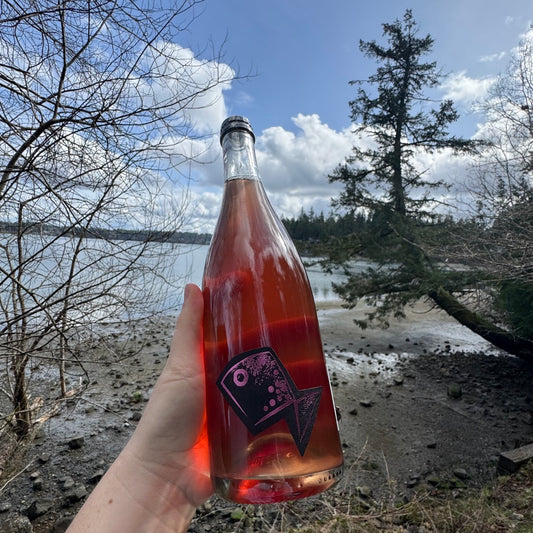 Gordia 'Natural Bubbles' Rose Pet Nat (2022)