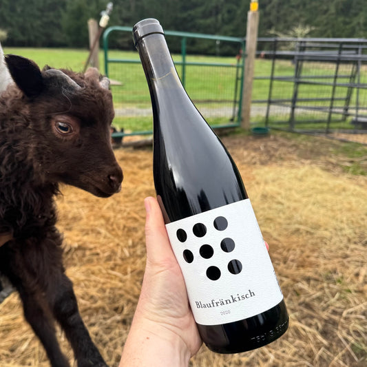 Weninger Blaufrankisch (2020)