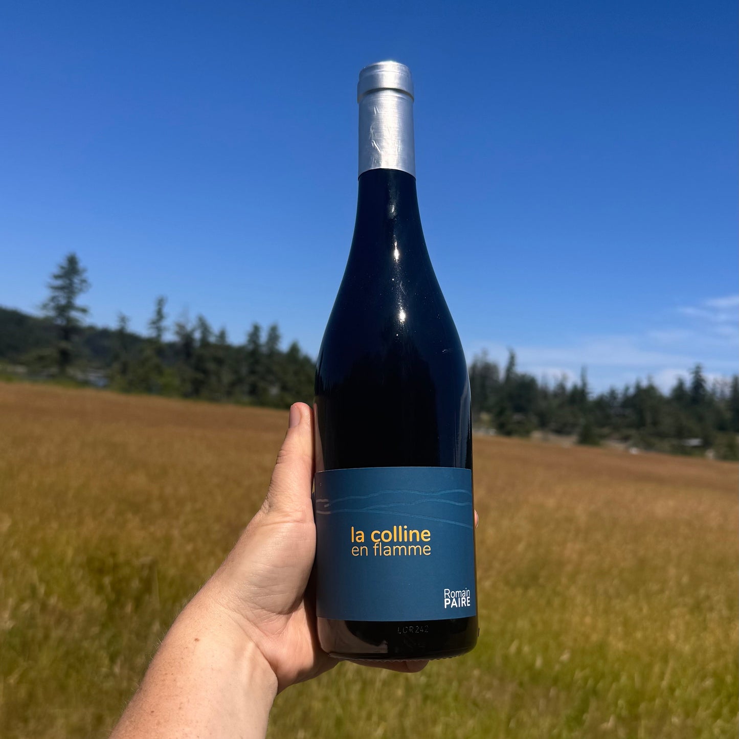 Domaine de Pothiers “La Colline en Flamme