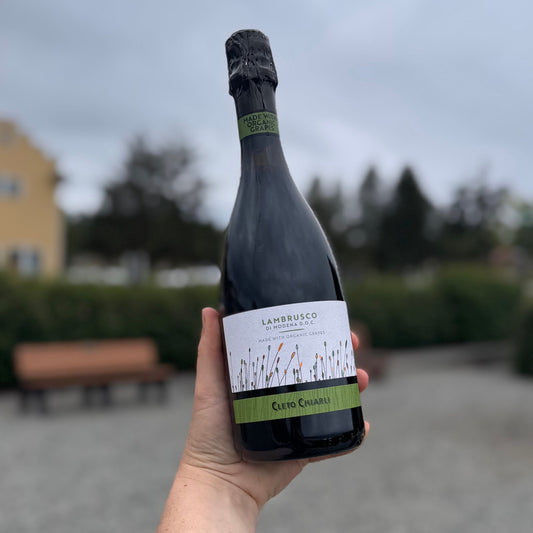 Lambrusco Grasparossa di Castelvetro DOC Biologico