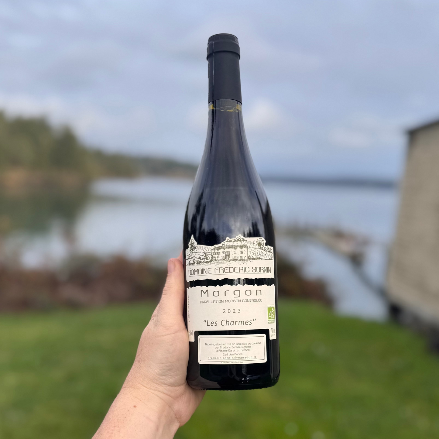Frederic Sornin Morgon, “Les Charmes” 2023