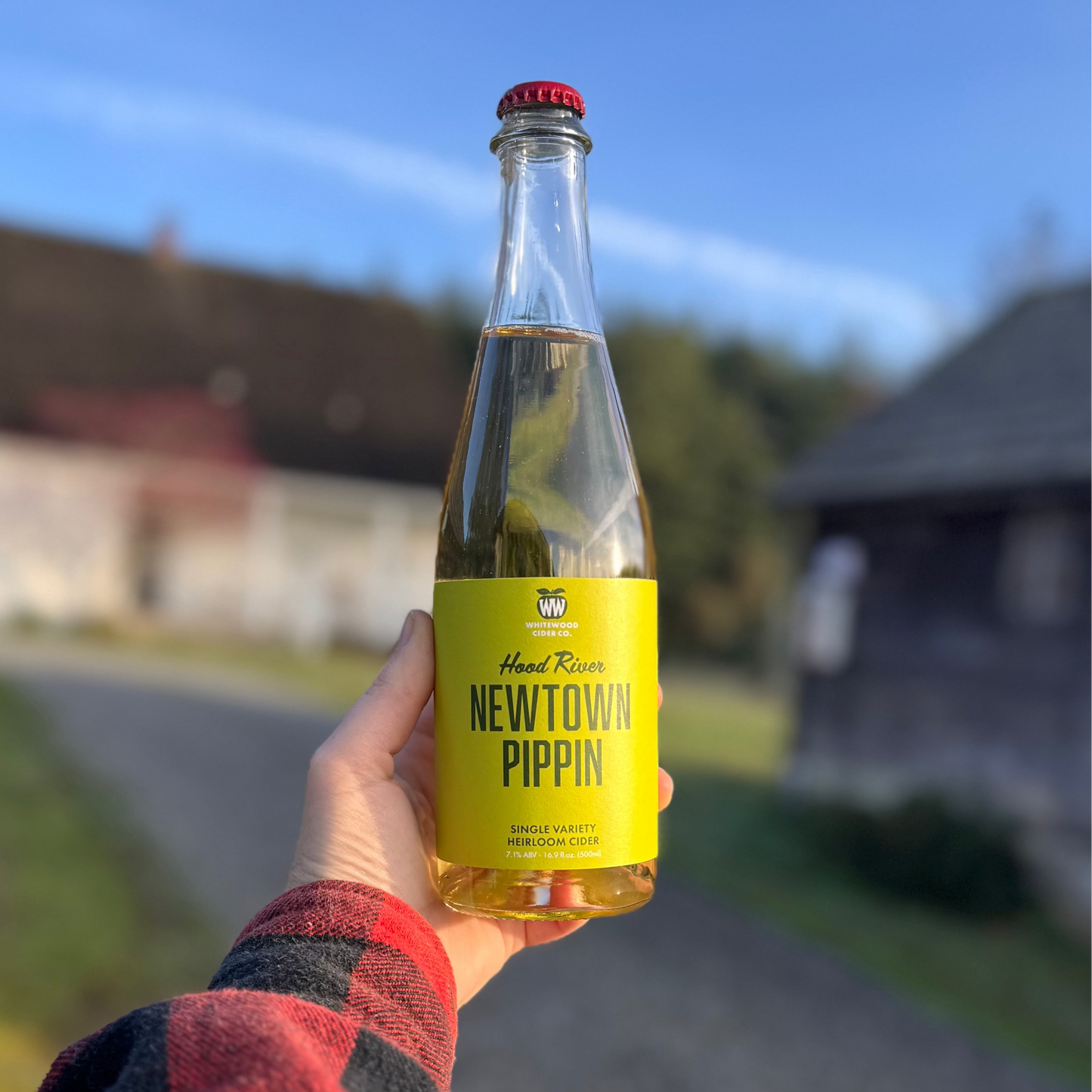 Whitewood Cider Company Newtown Pippin Single Apple Heirloom Cider - 500ml Bottle (Copy)