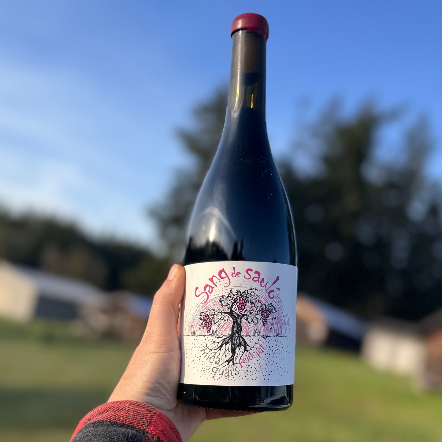 Talcomraja Sang de Saulo - Feldspat (2019)