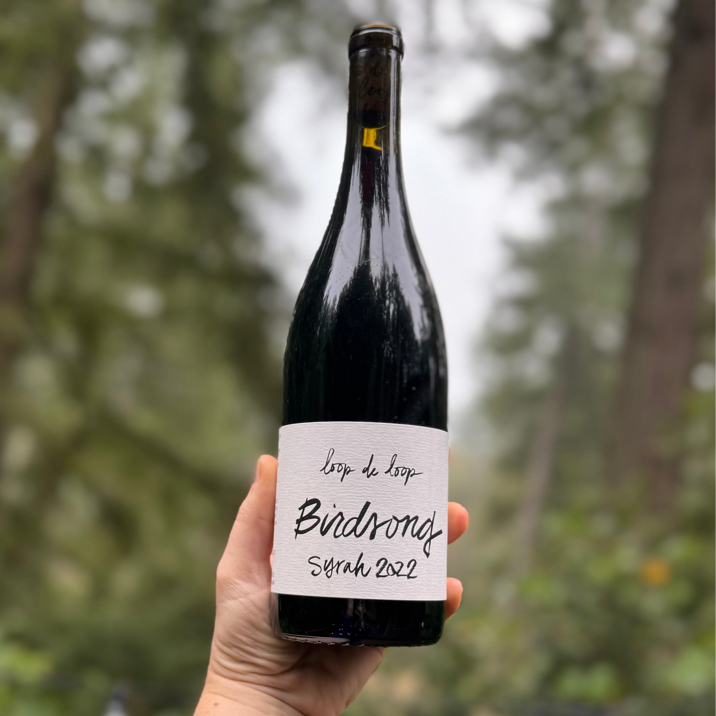 Loop de Loop Birdsong Syrah 2022